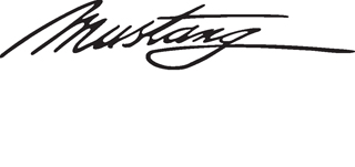 Ford mustang font #4