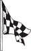 Checkered Flags 28
