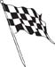 Checkered Flags 31