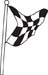 Checkered Flags 11