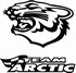 Team Arctic